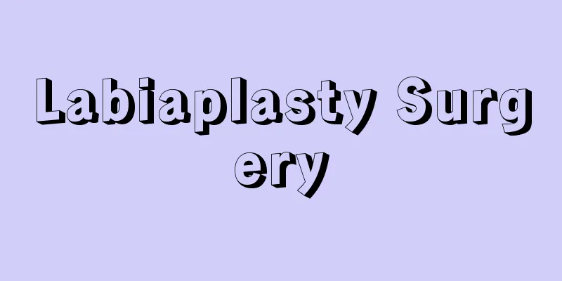 Labiaplasty Surgery