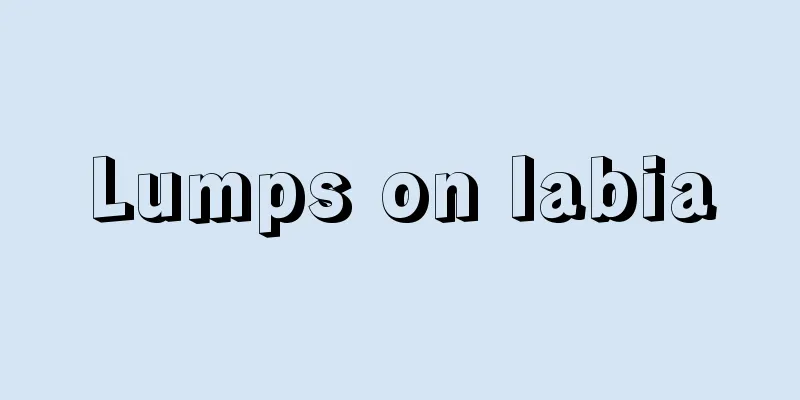 Lumps on labia