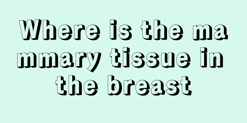 Where is the mammary tissue in the breast