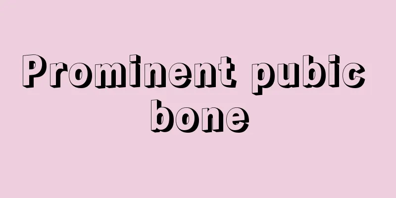 Prominent pubic bone