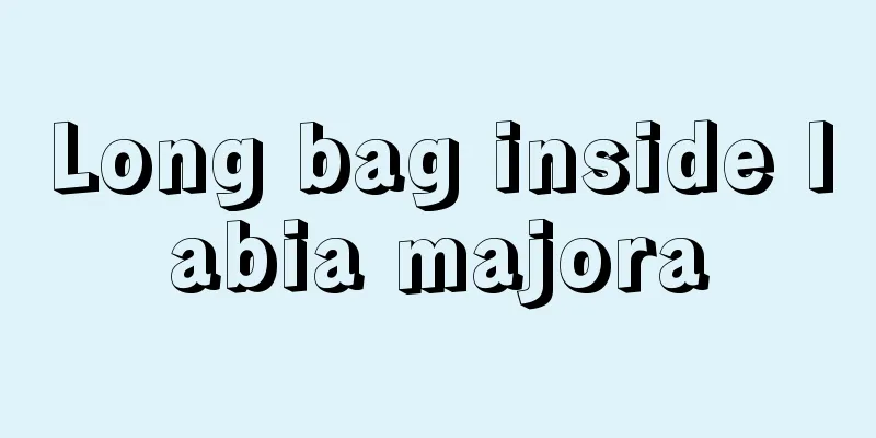 Long bag inside labia majora