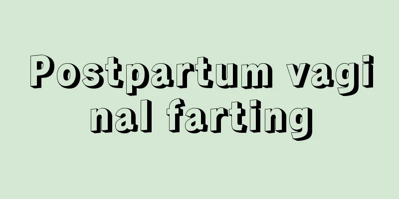 Postpartum vaginal farting