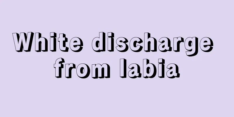 White discharge from labia