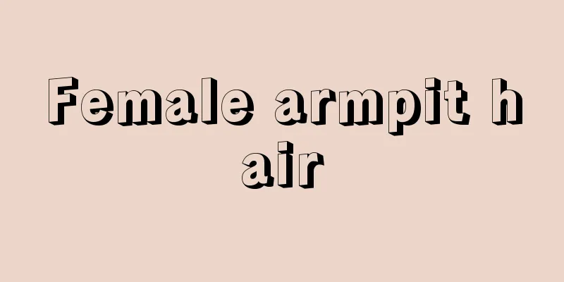 Female armpit hair