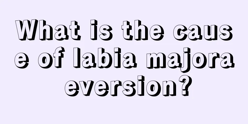 What is the cause of labia majora eversion?