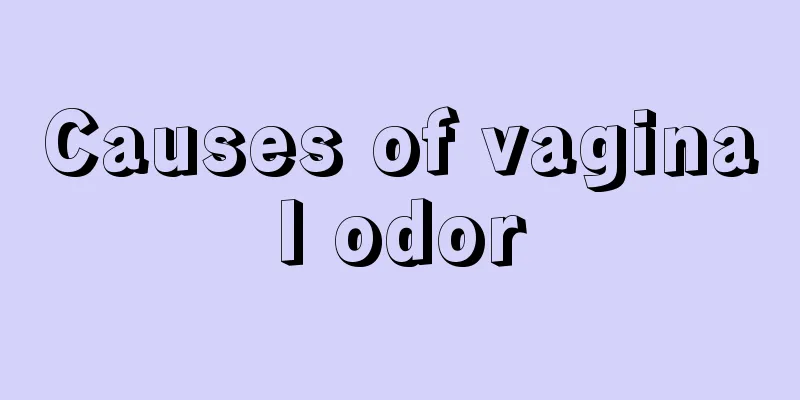 Causes of vaginal odor