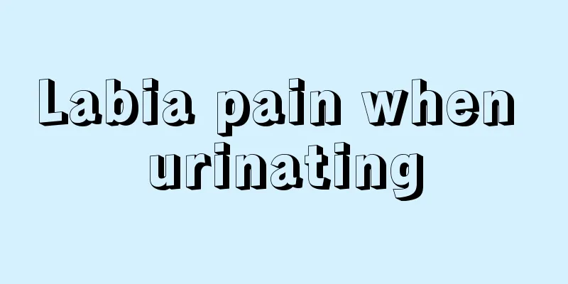 Labia pain when urinating