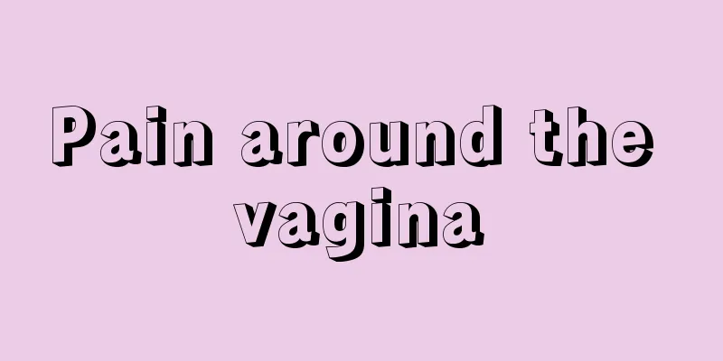 Pain around the vagina