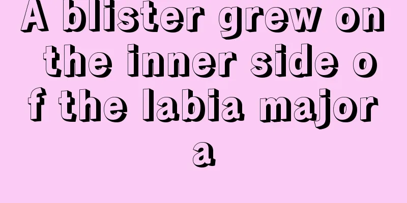 A blister grew on the inner side of the labia majora