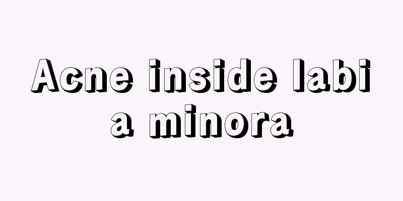 Acne inside labia minora