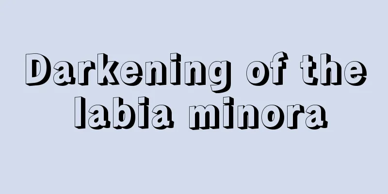 Darkening of the labia minora