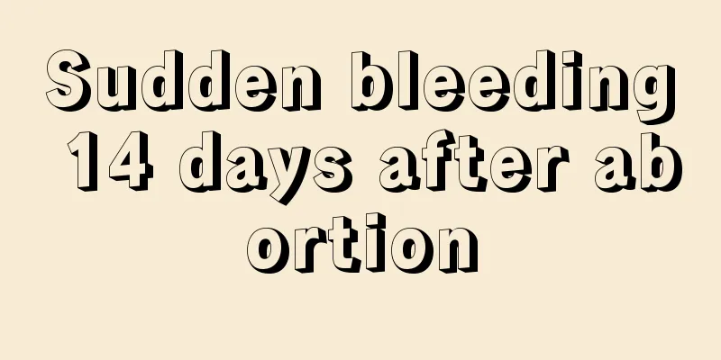 Sudden bleeding 14 days after abortion