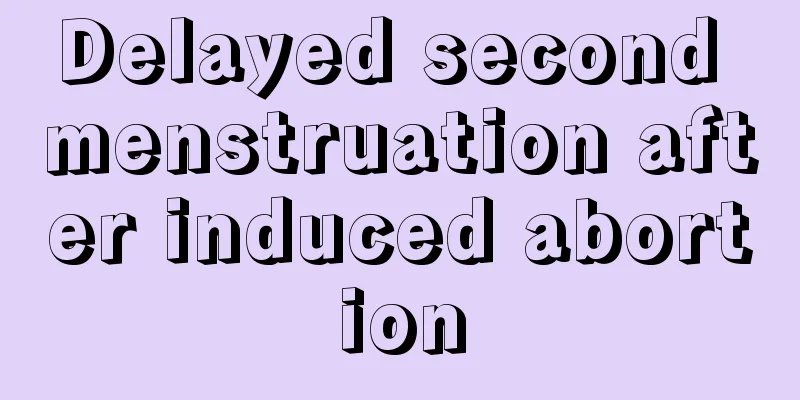 Delayed second menstruation after induced abortion