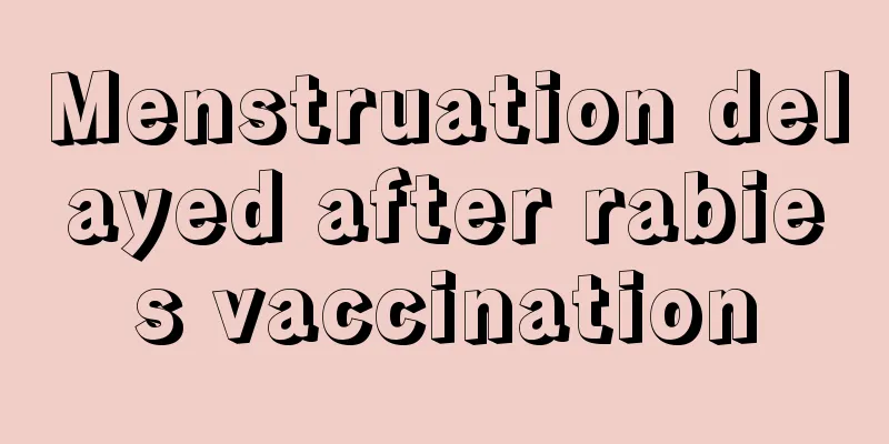 Menstruation delayed after rabies vaccination