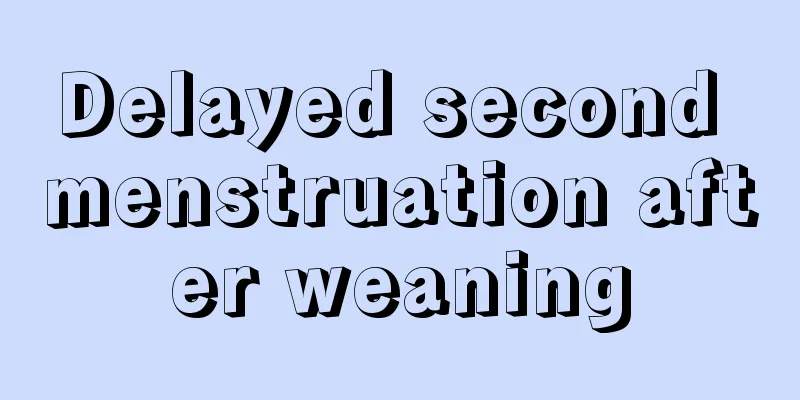 Delayed second menstruation after weaning