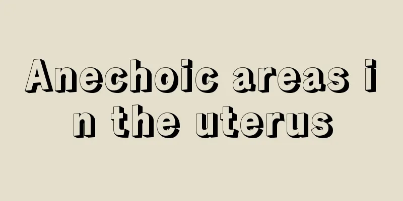 Anechoic areas in the uterus