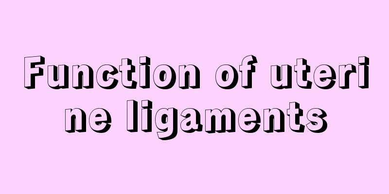 Function of uterine ligaments