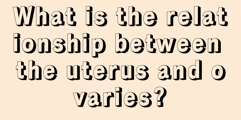 What is the relationship between the uterus and ovaries?