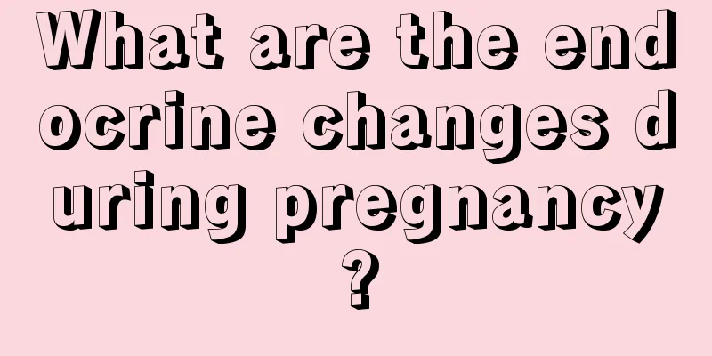 What are the endocrine changes during pregnancy?