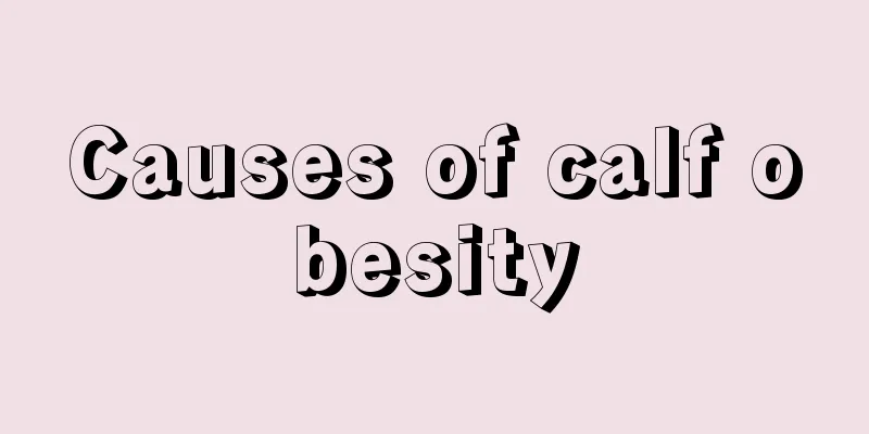 Causes of calf obesity