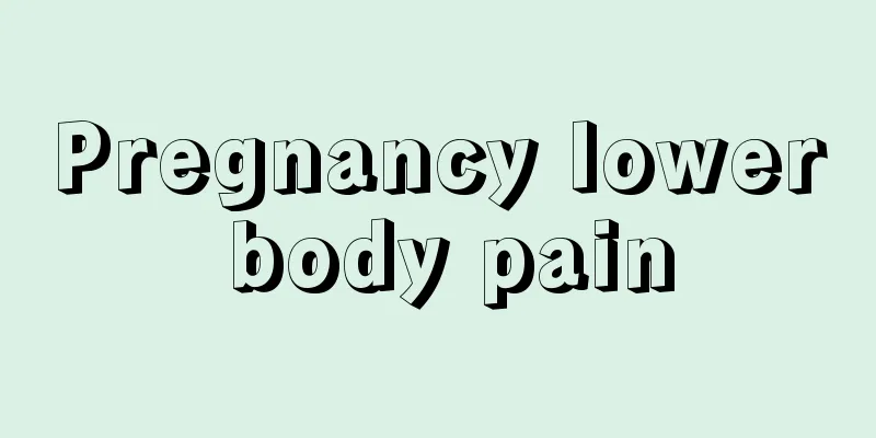 Pregnancy lower body pain