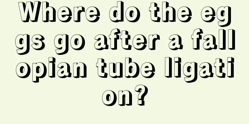 Where do the eggs go after a fallopian tube ligation?