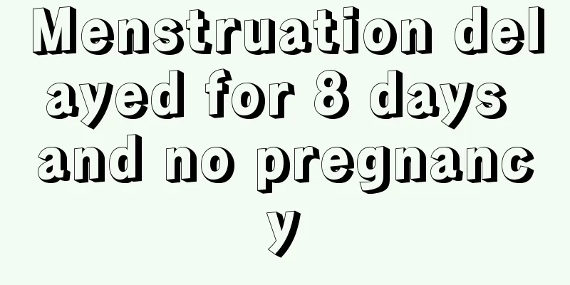 Menstruation delayed for 8 days and no pregnancy