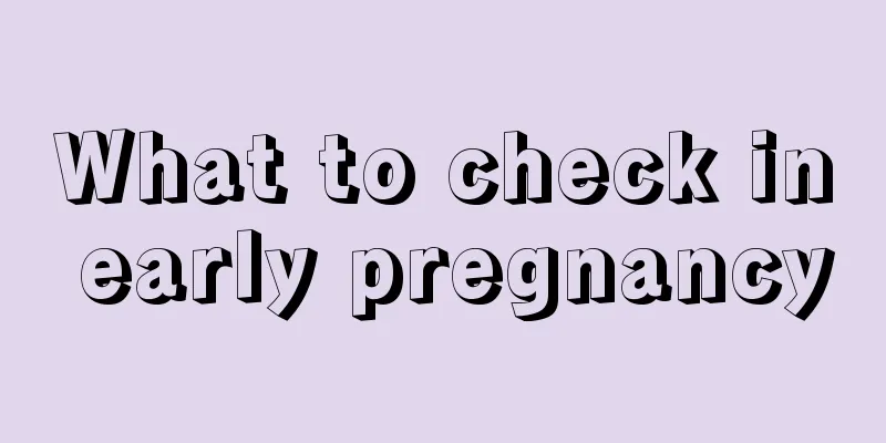 What to check in early pregnancy