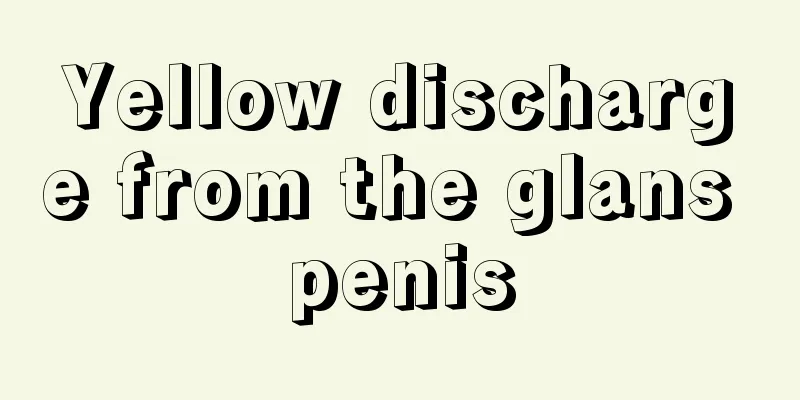 Yellow discharge from the glans penis