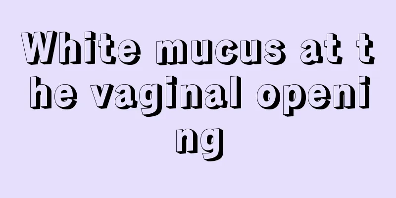 White mucus at the vaginal opening