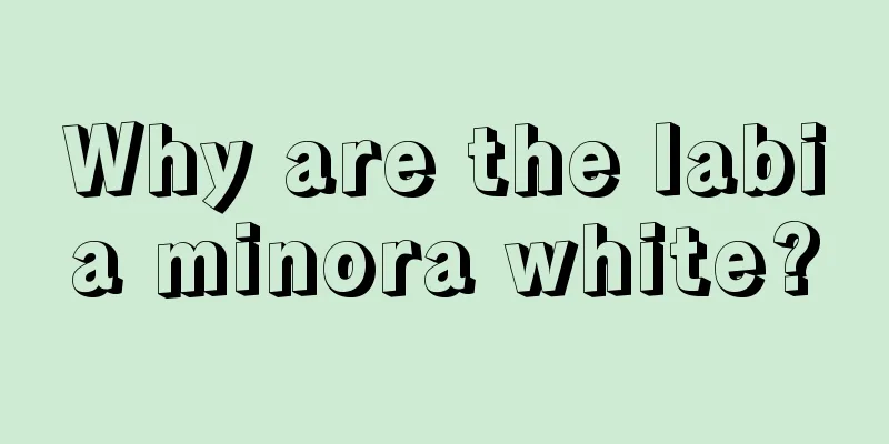 Why are the labia minora white?