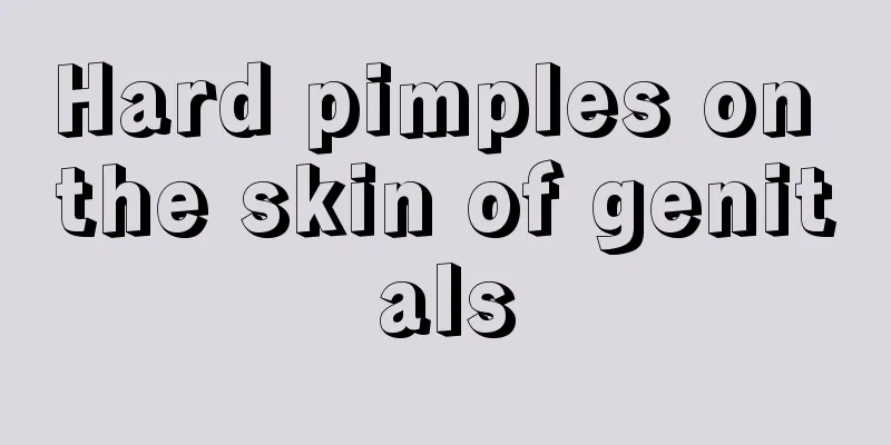 Hard pimples on the skin of genitals