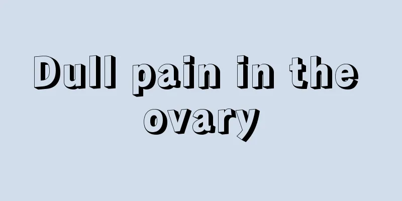 Dull pain in the ovary