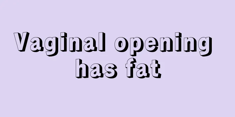 Vaginal opening has fat