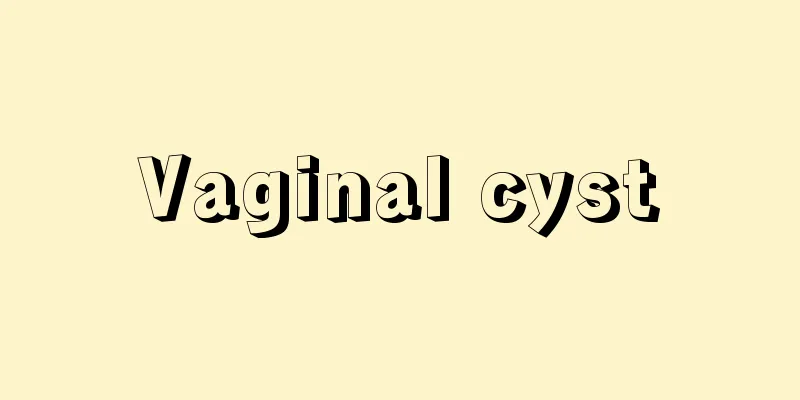 Vaginal cyst