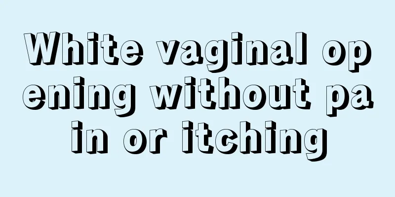 White vaginal opening without pain or itching