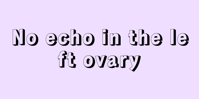 No echo in the left ovary