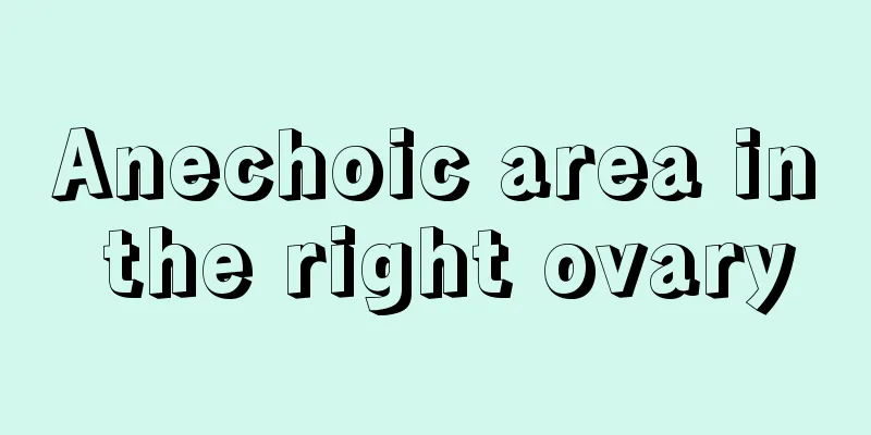 Anechoic area in the right ovary