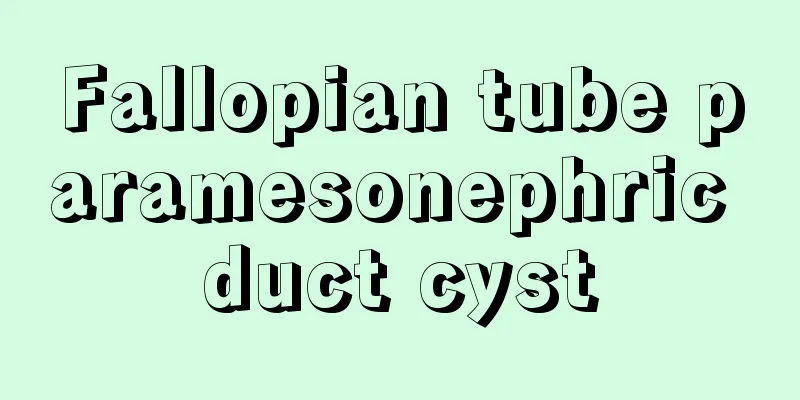 Fallopian tube paramesonephric duct cyst