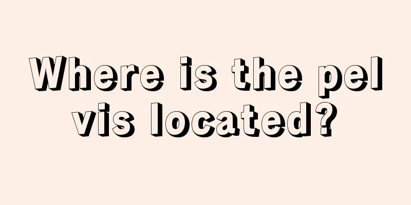 Where is the pelvis located?