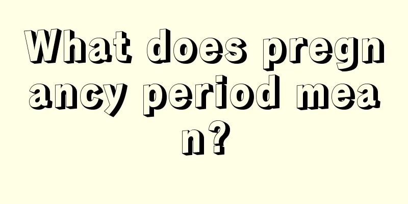 What does pregnancy period mean?