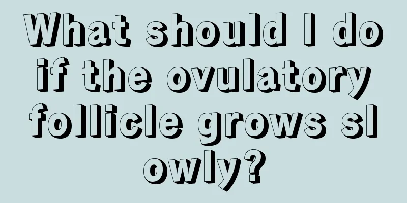 What should I do if the ovulatory follicle grows slowly?