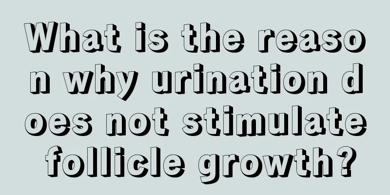 What is the reason why urination does not stimulate follicle growth?