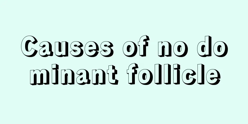 Causes of no dominant follicle