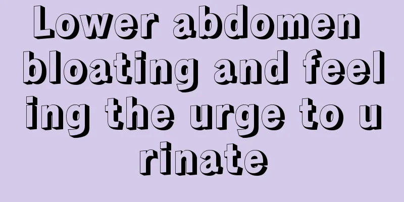 Lower abdomen bloating and feeling the urge to urinate