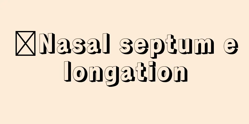 ​Nasal septum elongation