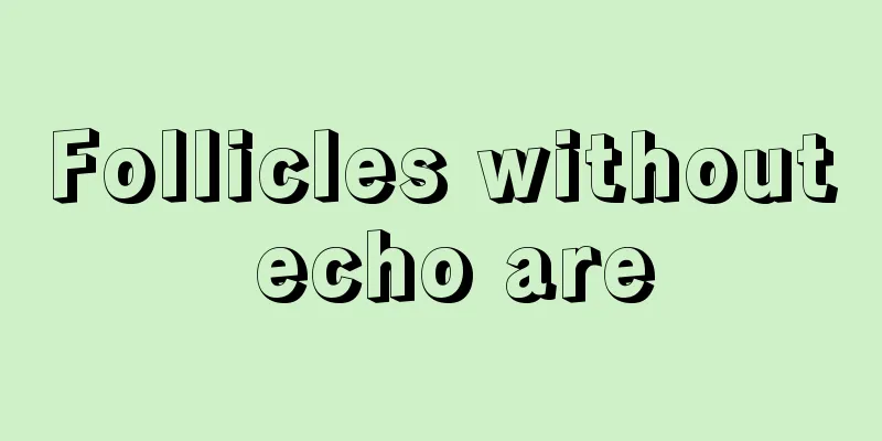 Follicles without echo are