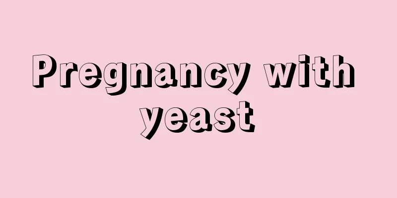 Pregnancy with yeast