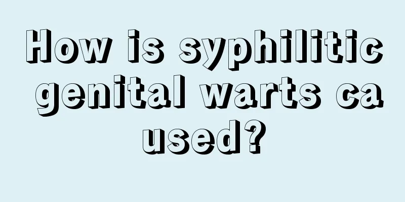 How is syphilitic genital warts caused?