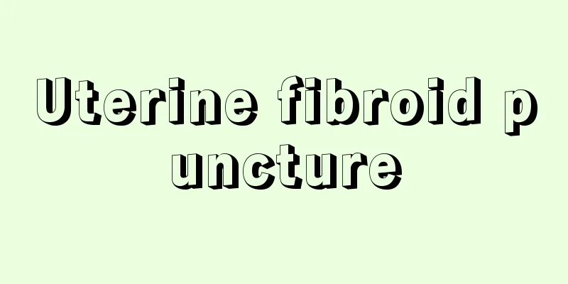 Uterine fibroid puncture